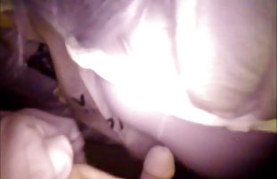 泰迪熊吮吸泰迪熊