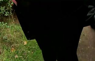 隐藏在公共灵魂中的相机